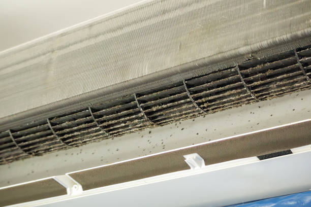 Best Commercial Air Duct Cleaning  in Robins, IA